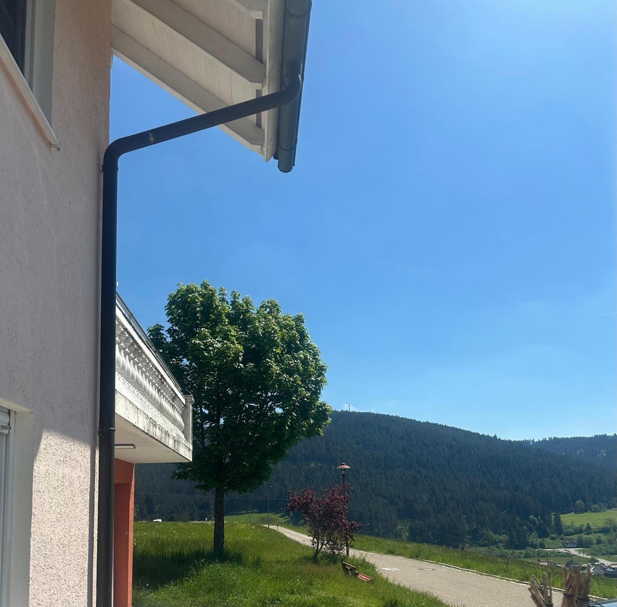 Natalie Apartment Baiersbronn Exterior photo